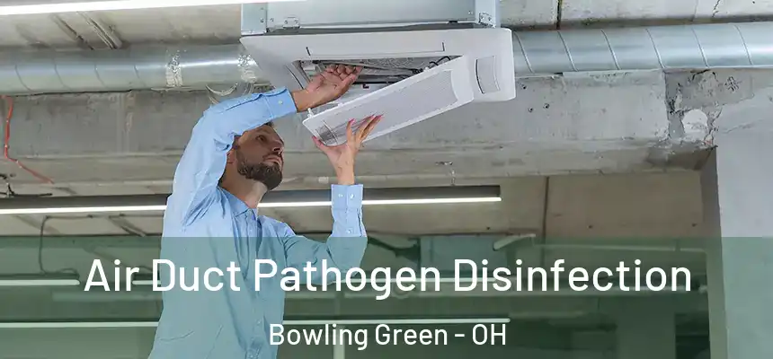 Air Duct Pathogen Disinfection Bowling Green - OH