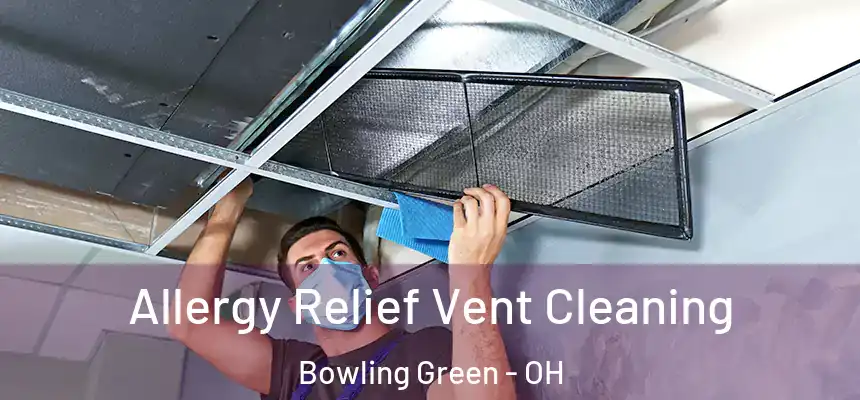 Allergy Relief Vent Cleaning Bowling Green - OH