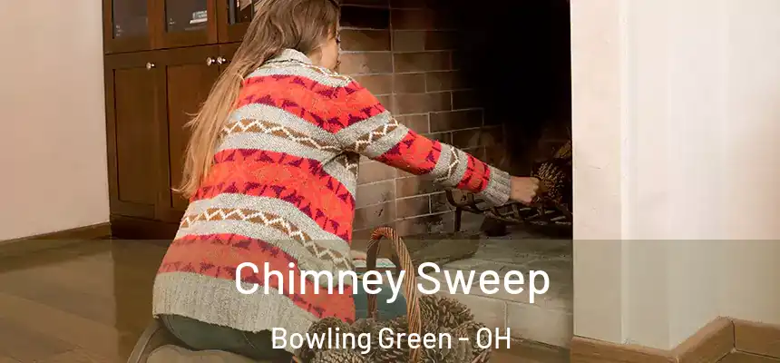 Chimney Sweep Bowling Green - OH