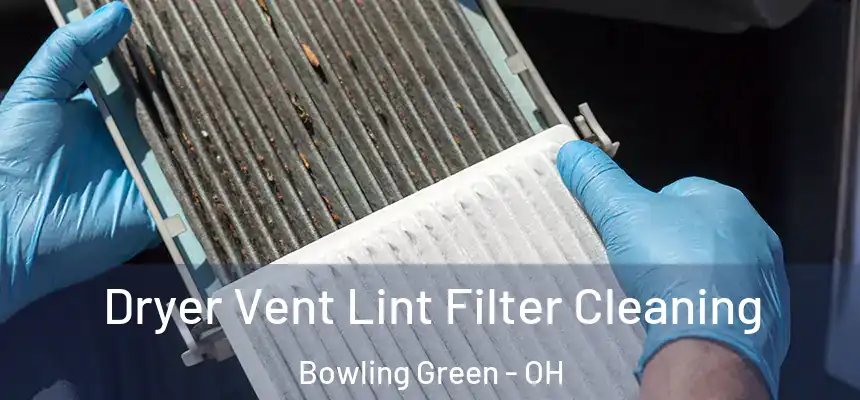 Dryer Vent Lint Filter Cleaning Bowling Green - OH