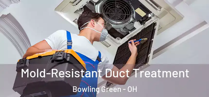  Mold-Resistant Duct Treatment Bowling Green - OH