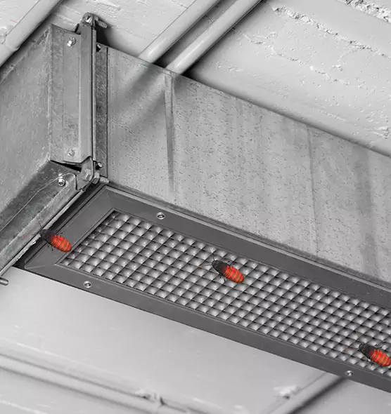 Affordable Insect Removal from Air Ducts in Bowling Green, OH