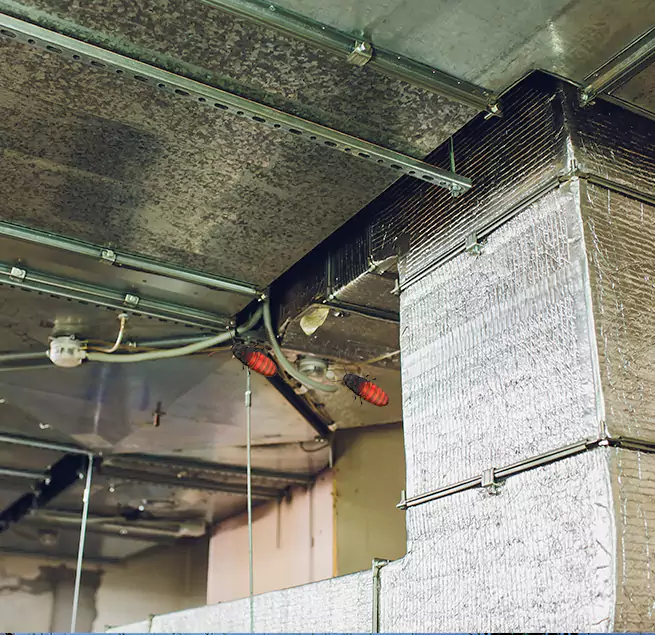 Why Homeowners & Businesses Trust Us in Bowling Green, OH?