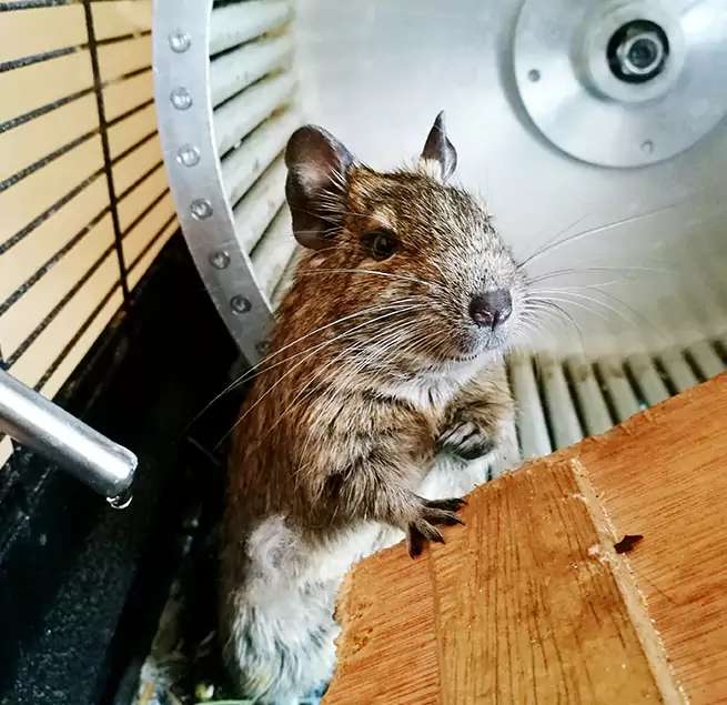 Why Homeowners & Businesses Trust Us Bowling Green, OH